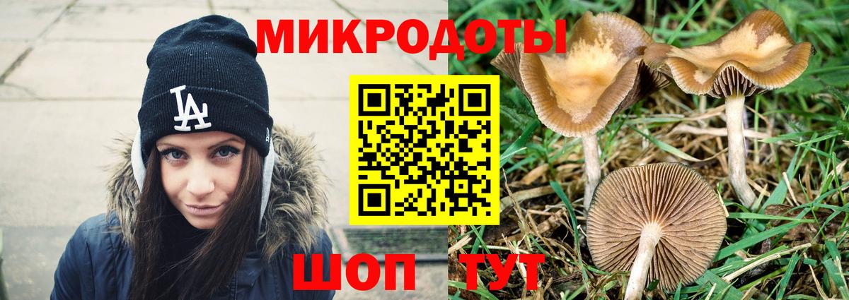 Сочи  Псилоцибиновые грибы GOLDEN TEACHER  Вход с VPN  Галлюциногенные грибы мицелий 